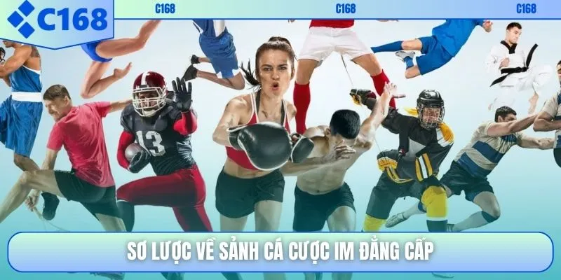 Sơ lược về sảnh cá cược IM đẳng cấp