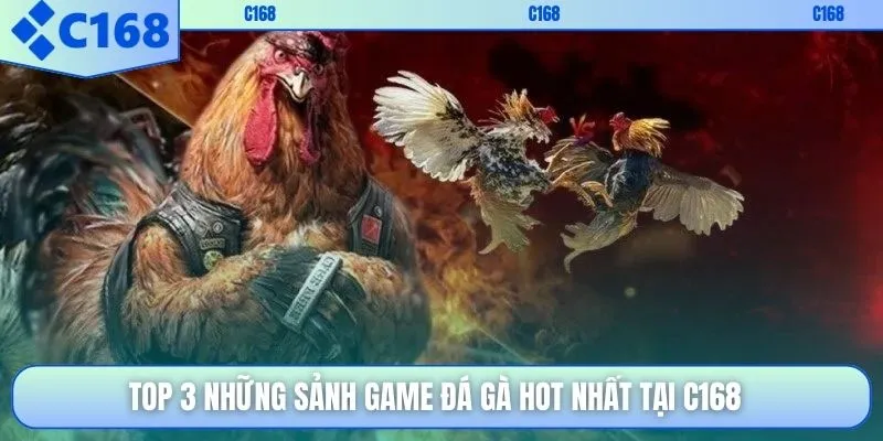 TOP 3 những sảnh game đá gà hot nhất tại C168